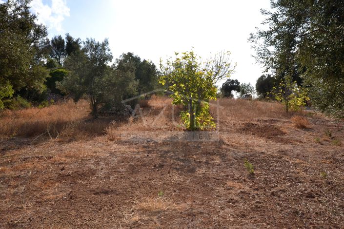 Image No.9-Plot for sale