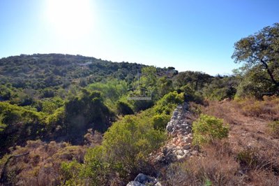 2425-360885-1254606e3c95c5e5ce938638595c7f664