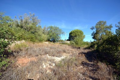 2425-360885-1254606e3c95c5e5ce938638595c7f664