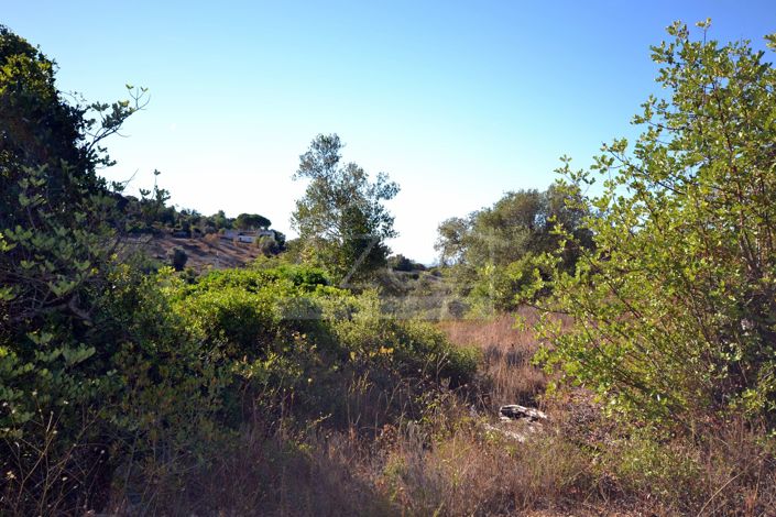 Image No.13-Plot for sale