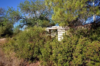 2425-360885-1254606e3c95c5e5ce938638595c7f664