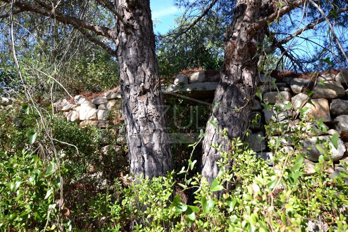 Image No.15-Plot for sale