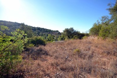 2425-360885-1254606e3c95c5e5ce938638595c7f664