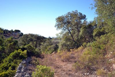 2425-360885-1254606e3c95c5e5ce938638595c7f664