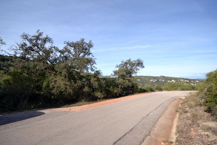 Image No.2-Terre à vendre à Loule