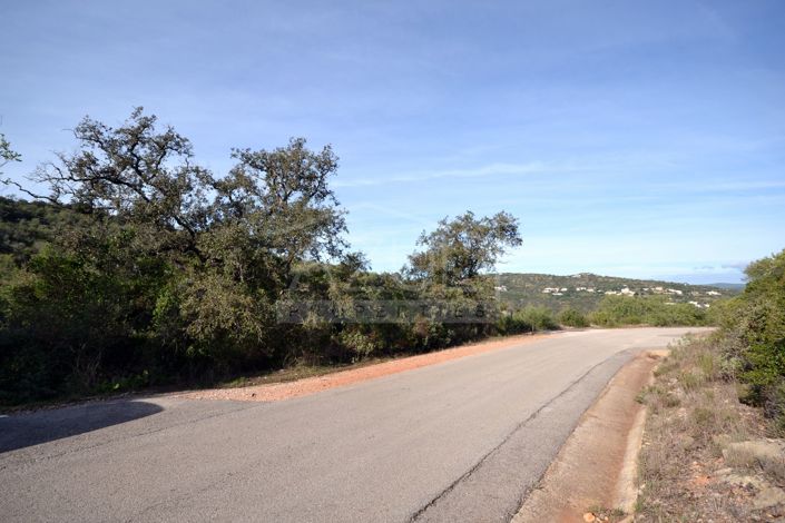 Image No.2-Land for sale