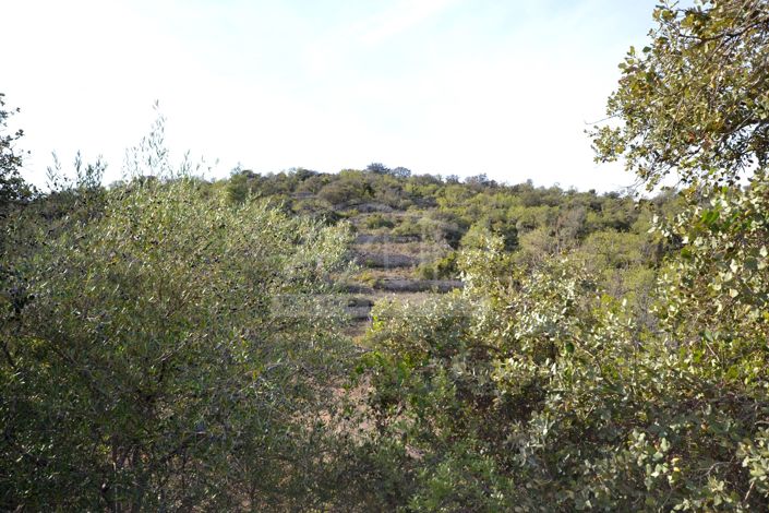 Image No.3-Land for sale