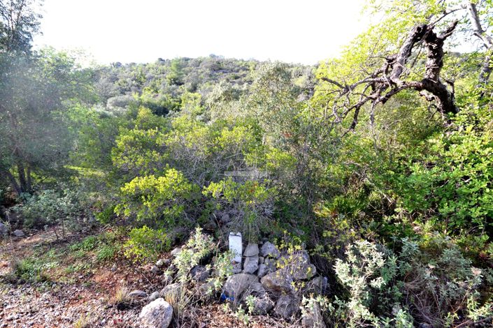 Image No.4-Terre à vendre à Loule