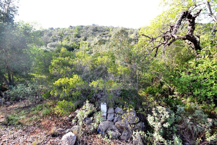 Image No.4-Land for sale