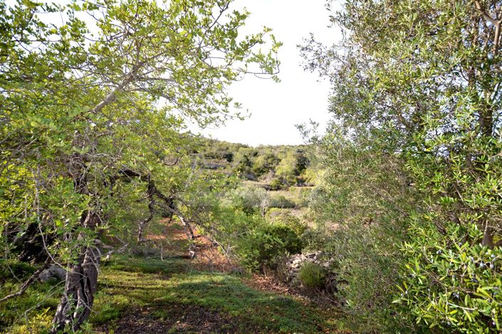 Image No.5-Land for sale