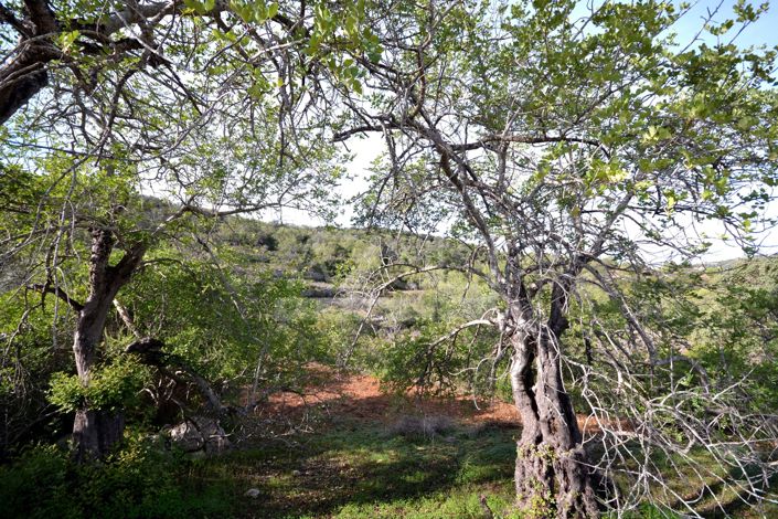Image No.6-Land for sale