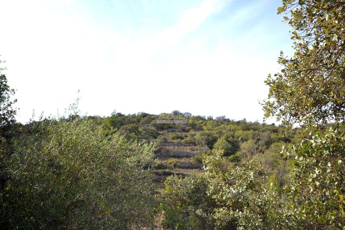 Image No.8-Terre à vendre à Loule