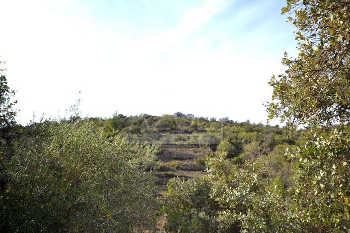 Image No.8-Land for sale