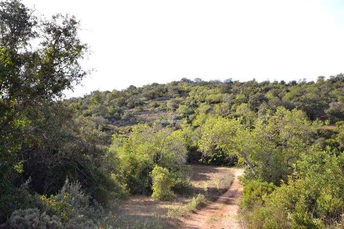 Image No.9-Terre à vendre à Loule