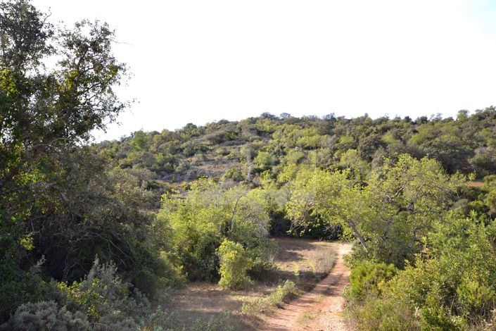 Image No.9-Land for sale