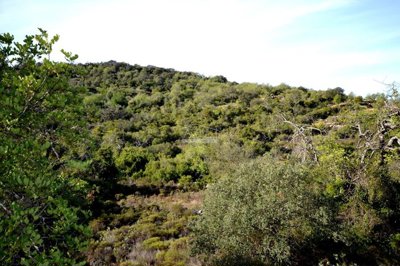 2425-361317-1254606e3c95c5e5ce938638595c7f664