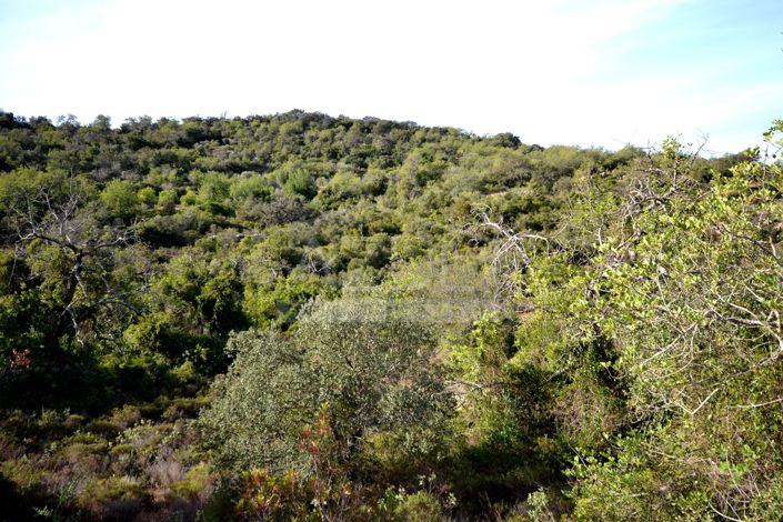 Image No.2-Land for sale
