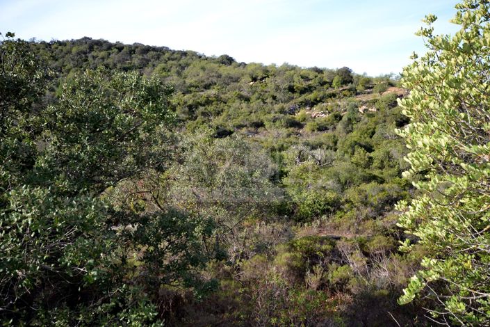 Image No.3-Land for sale