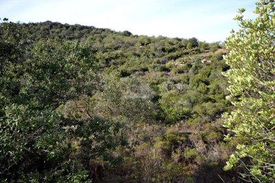 2425-361317-1254606e3c95c5e5ce938638595c7f664