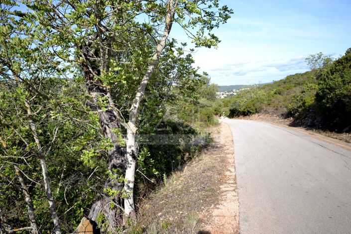 Image No.4-Land for sale
