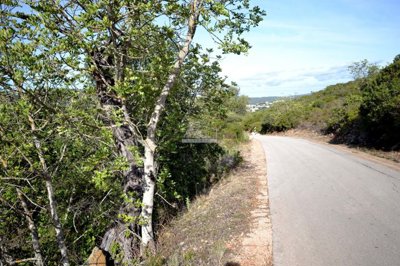 2425-361317-1254606e3c95c5e5ce938638595c7f664