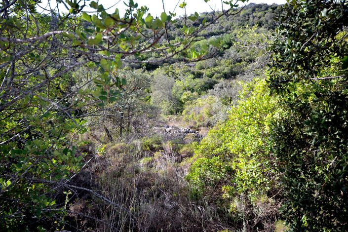 Image No.5-Land for sale