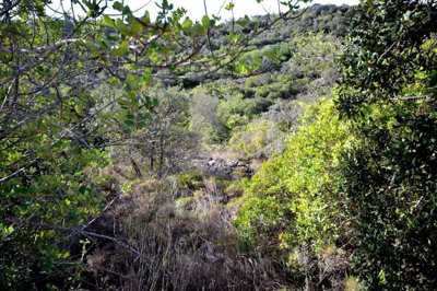 2425-361317-1254606e3c95c5e5ce938638595c7f664