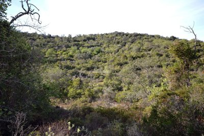 2425-361317-1254606e3c95c5e5ce938638595c7f664