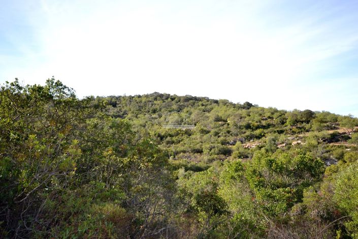 Image No.7-Terre à vendre à Loule