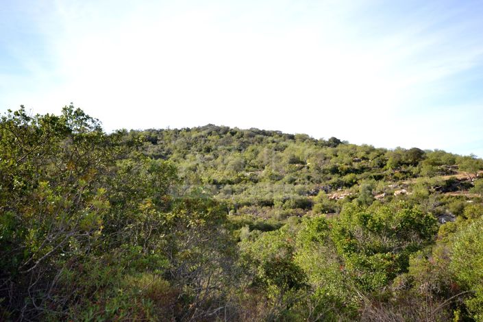 Image No.7-Land for sale