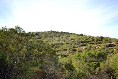 2425-361317-1254606e3c95c5e5ce938638595c7f664