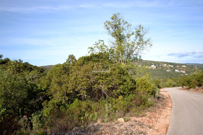 Image No.8-Terre à vendre à Loule