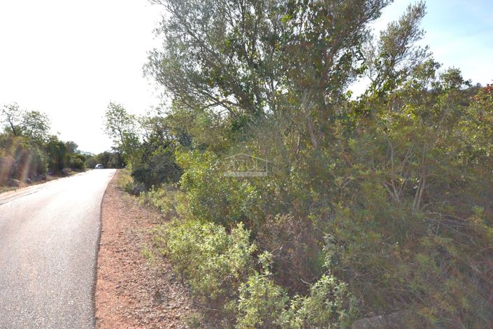 Image No.9-Terre à vendre à Loule