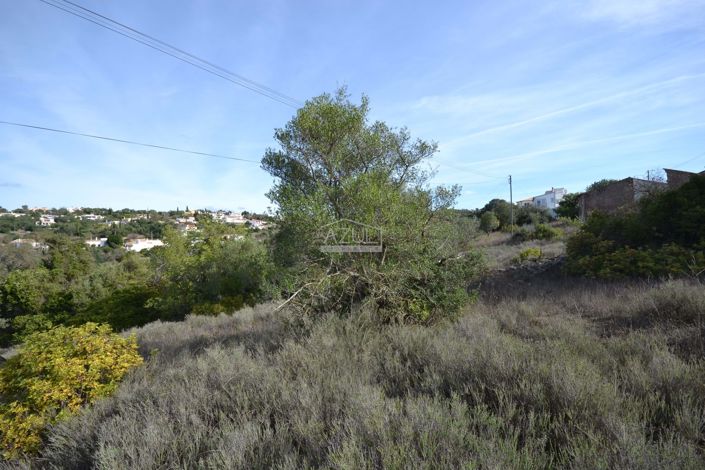 Image No.11-Land for sale