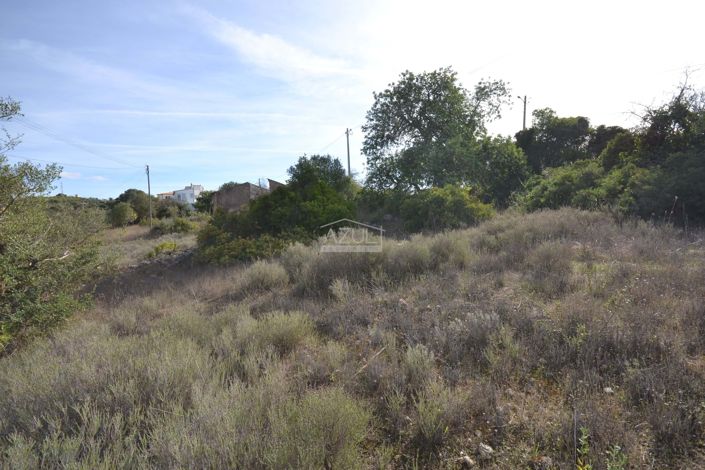 Image No.12-Land for sale