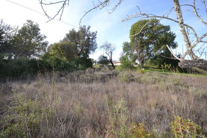 Image No.14-Land for sale