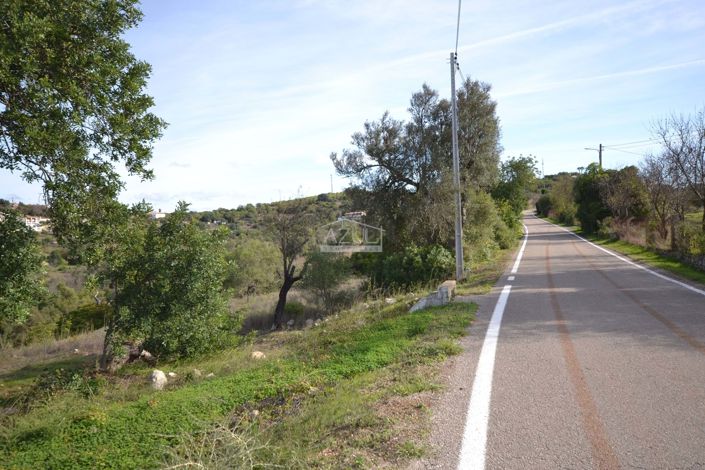 Image No.3-Land for sale