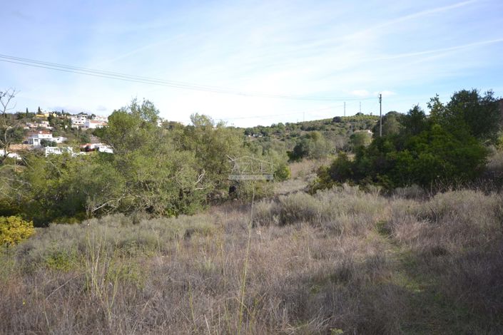 Image No.5-Land for sale