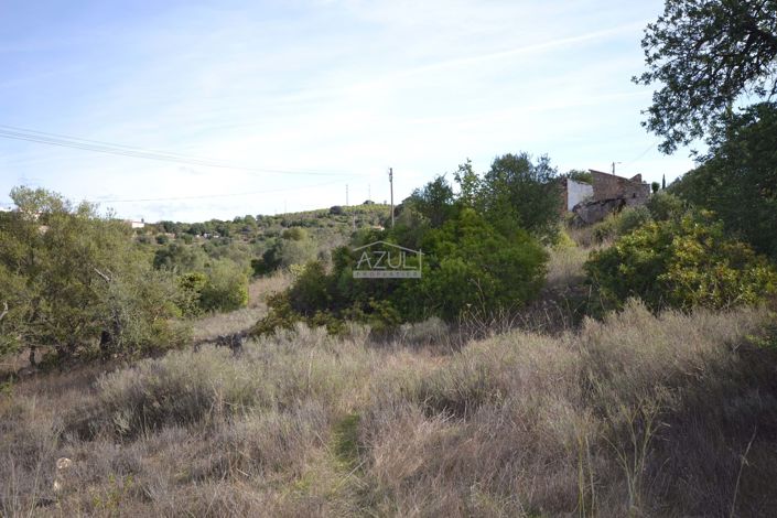 Image No.6-Land for sale