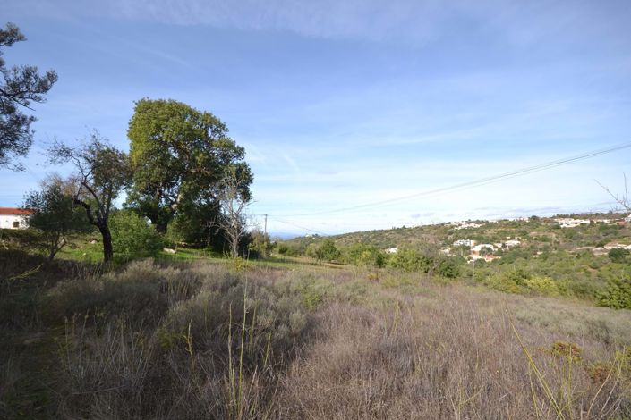 Image No.8-Land for sale