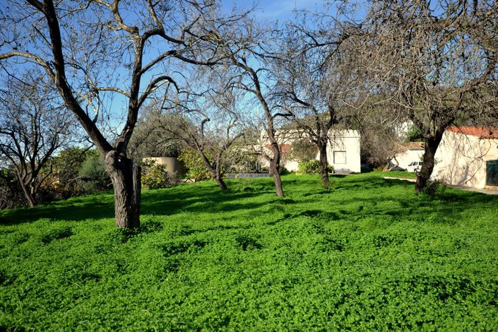 Image No.26-4 Bed Villa for sale