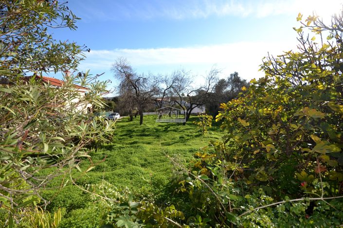 Image No.3-4 Bed Villa for sale