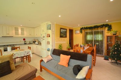 2425-361591-1254606e3c95c5e5ce938638595c7f664