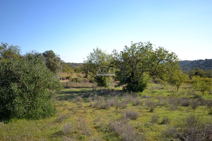 Image No.10-Plot for sale