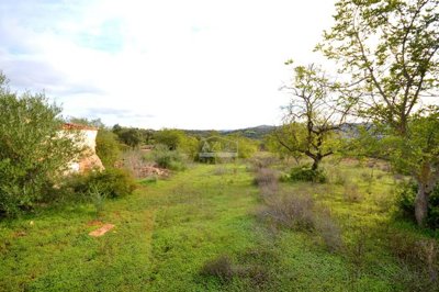 2425-362130-1254606e3c95c5e5ce938638595c7f664