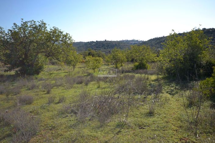 Image No.11-Plot for sale