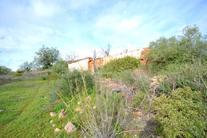 Image No.13-Terrain à vendre à Loule