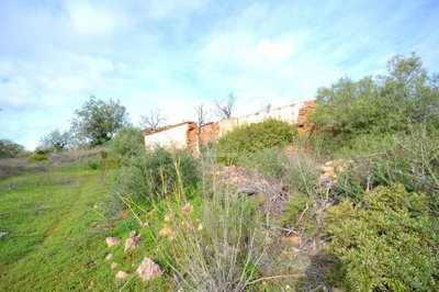 2425-362130-1254606e3c95c5e5ce938638595c7f664