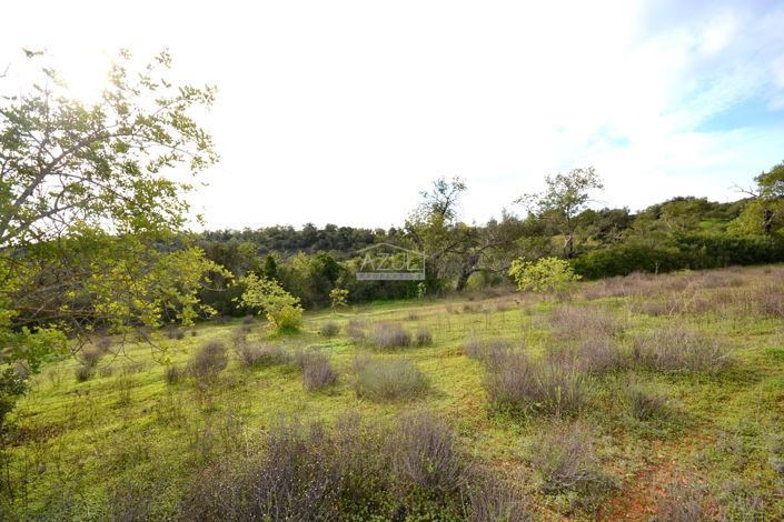 Image No.15-Terrain à vendre à Loule