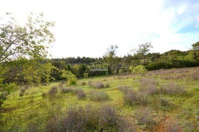 2425-362130-1254606e3c95c5e5ce938638595c7f664